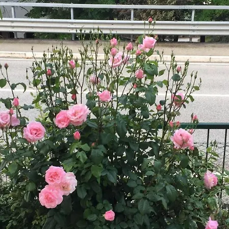 Nocleg ze śniadaniem Itaka 3*