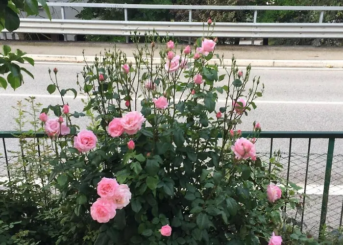 Bed & Breakfast Itaka 3*